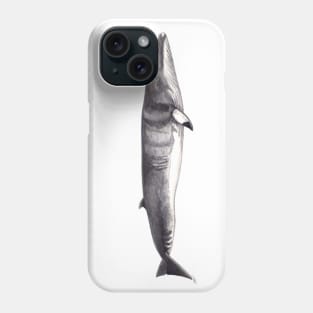 Minke whale Balaenopetra acutorostrata Phone Case