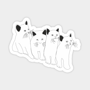 Funny Cats and Kittens Magnet