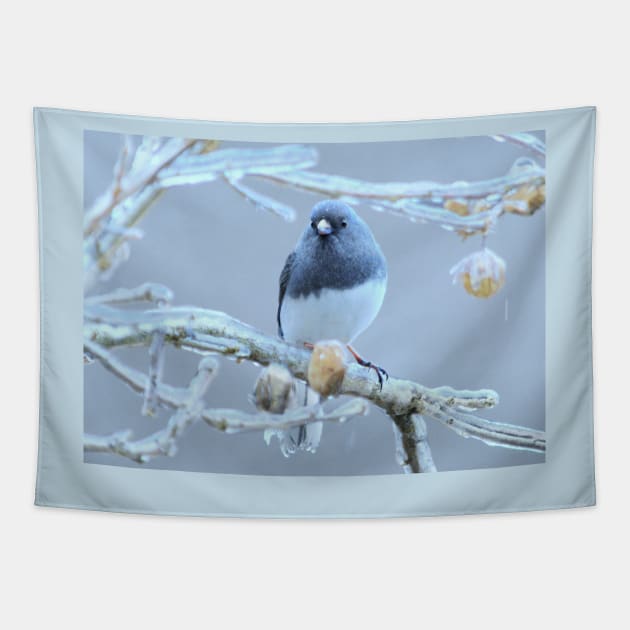 Junco  ~ after the ice storm Tapestry by LaurieMinor