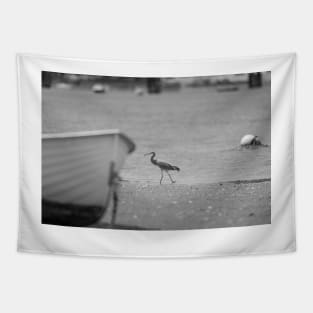 White-faced heron juvenile at waters edge beyond bow of boat in monochrome. Tapestry