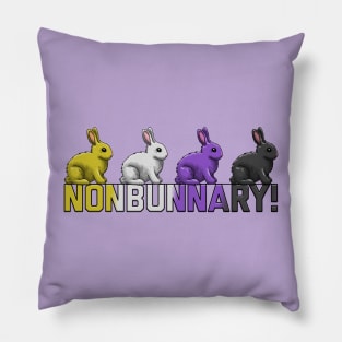 Nonbunnary Pillow