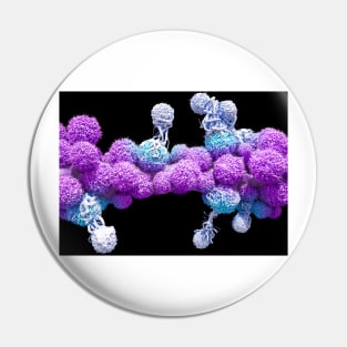 T cells attacking cancer cells (C025/6875) Pin