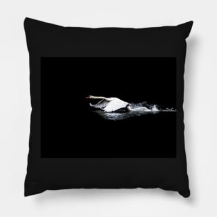 Swan Launch Pillow