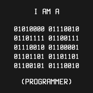 I'm a Programmer T-Shirt