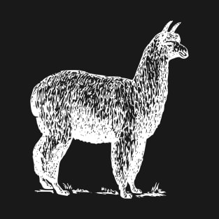 Llama T-Shirt