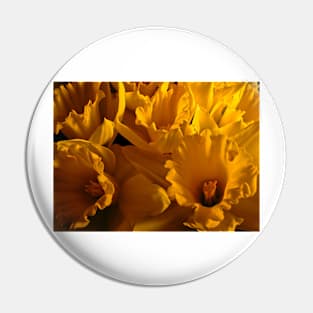 Dandelions Pin