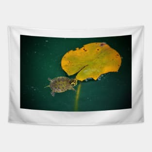 Baby Turtle And Lily Pad Tapestry