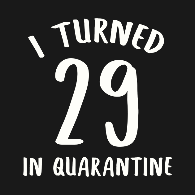 I Turned 29 In Quarantine by llama_chill_art