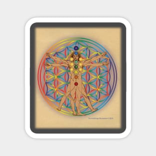 Virtruvian Man and Flower of Life on Parchment Magnet