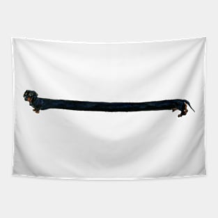 Very Long Dachshund Sausage Dog Tapestry