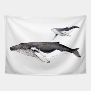 Humpback whale and baby Tapestry