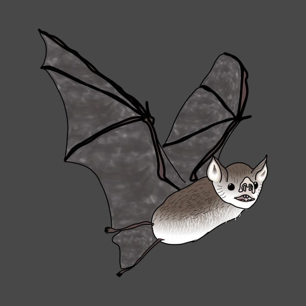 Vampire bat animal by FabuleusePlanete