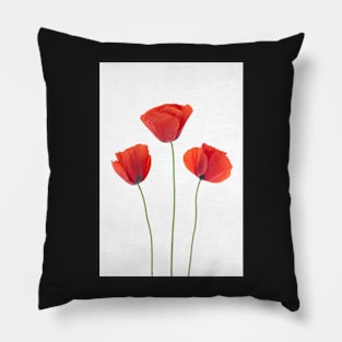 Three poppies Pillow