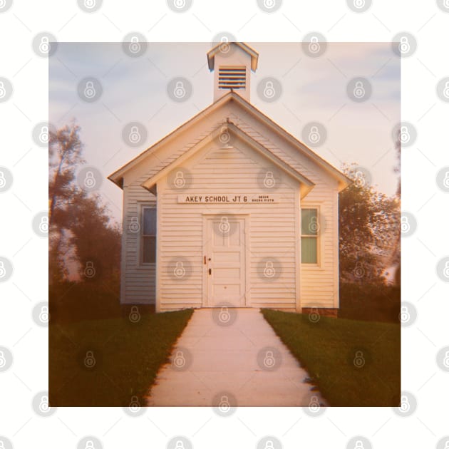 Wisconsin Rural Schoolhouse - Lomography Medium Format Diana F+ by ztrnorge