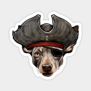 Funny Pirate Hairless Terrier Dog Magnet