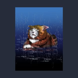 rainy wet tuxedo cat T-Shirt