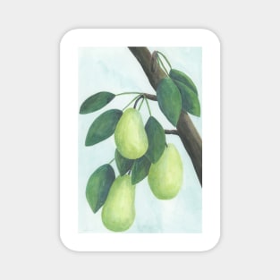 Pear Tree Magnet