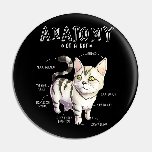 Anatomy Of A Cat Funny Cat Kitten Shirt S Cat Pin Teepublic