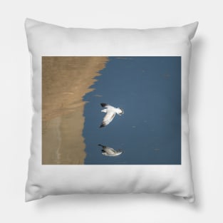 Ring-billed Gull In Flight Pillow