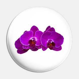 Fuchsia Phalaenopsis Pin