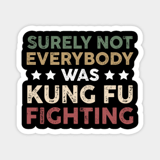 Surely Not Everybody Was Kung Fu Fighting Funny Funny Fighting Sarcastic Magnet