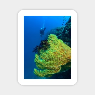 scuba diver and yellow sea fan Magnet