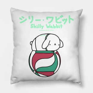 [Shilly Wabbit] Baby Lop Bunny Rabbit Loves Volleyball Pillow