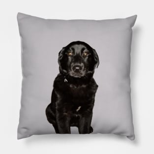 Black Lab Beauty Pillow