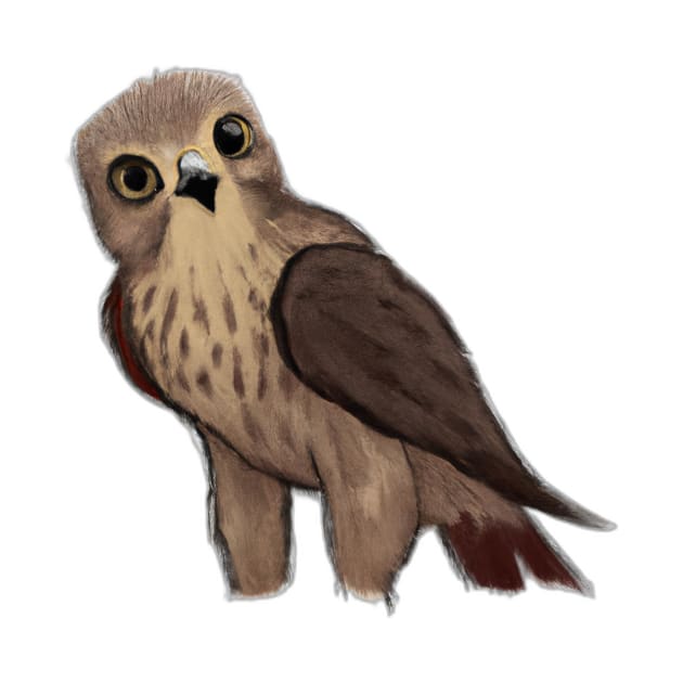 cute hawk drawing by Play Zoo