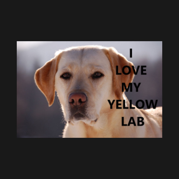 Disover Labrador retriever yellow love with picture - Yellow Lab - T-Shirt