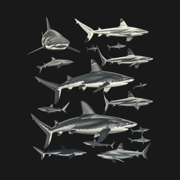 Shark Leaping Legends by Mckenna Paucek