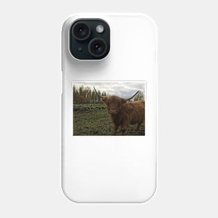 Scottish Highland Cattle Cow 2126 Phone Case