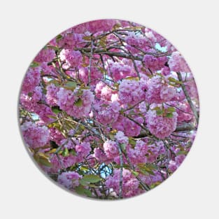 Pink Cherry Blossom Pin