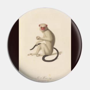 Silvery marmoset Pin