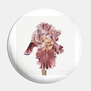 Pink Iris Pin