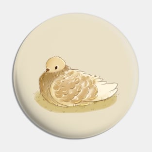 Beautiful Pigeon Pin