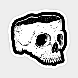 Skull Head Magnet