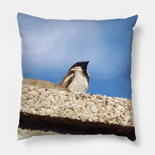 Chimney Top Dweller Pillow by someartworker