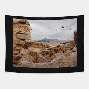 Three Birds Over Landfill in Morocco Tapestry