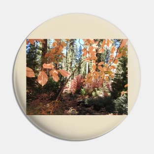 Fall foliage, autumn, scenery, nature, gifts Pin