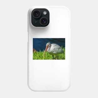 American white ibis 2 + 2 Phone Case