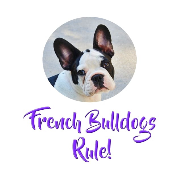 French Bulldogs Rule! by Naves