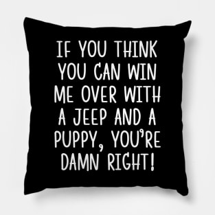 You're damn right! Pillow