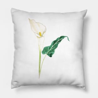 one white calla lily watercolor Pillow