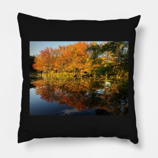 New England Autumn Pillow
