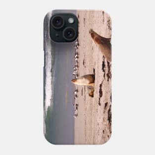 Sea Lions on the Beach Phone Case