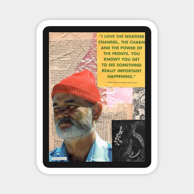 Bill Murray Steve Zissou Magnet by ashclaise