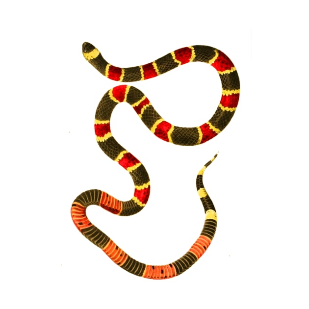 serpent,cobra,reptile,viper,venom,lizard,rattlesnake,king cobra,dragon,hydra,poison,venomous,plumber's snake,pythonidae,pythons,auger,python,squamata,serpentine,worm,big,ophidian,rattlesnakes,medusa,snakebite by vabontchi