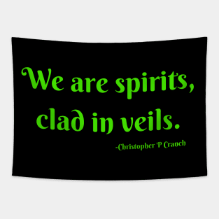 We are spirits, clad in veils Tapestry