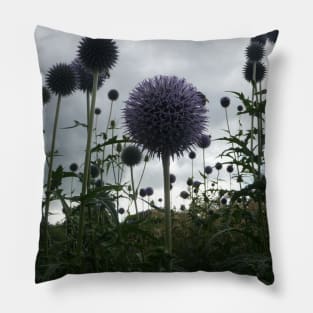 Globe Thistles Pillow